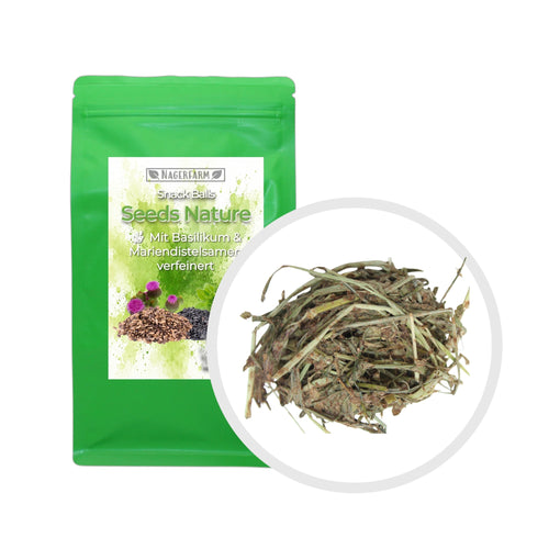 Snack Balls Seeds Nature – Snack natural de heno para conejillos de Indias