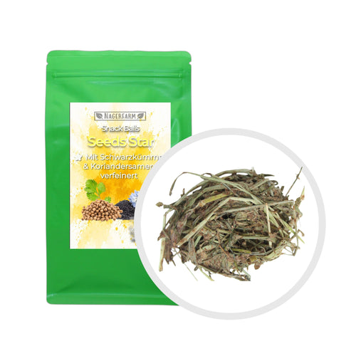 Snack Balls Seeds Star – Snack natural de heno para conejillos de Indias