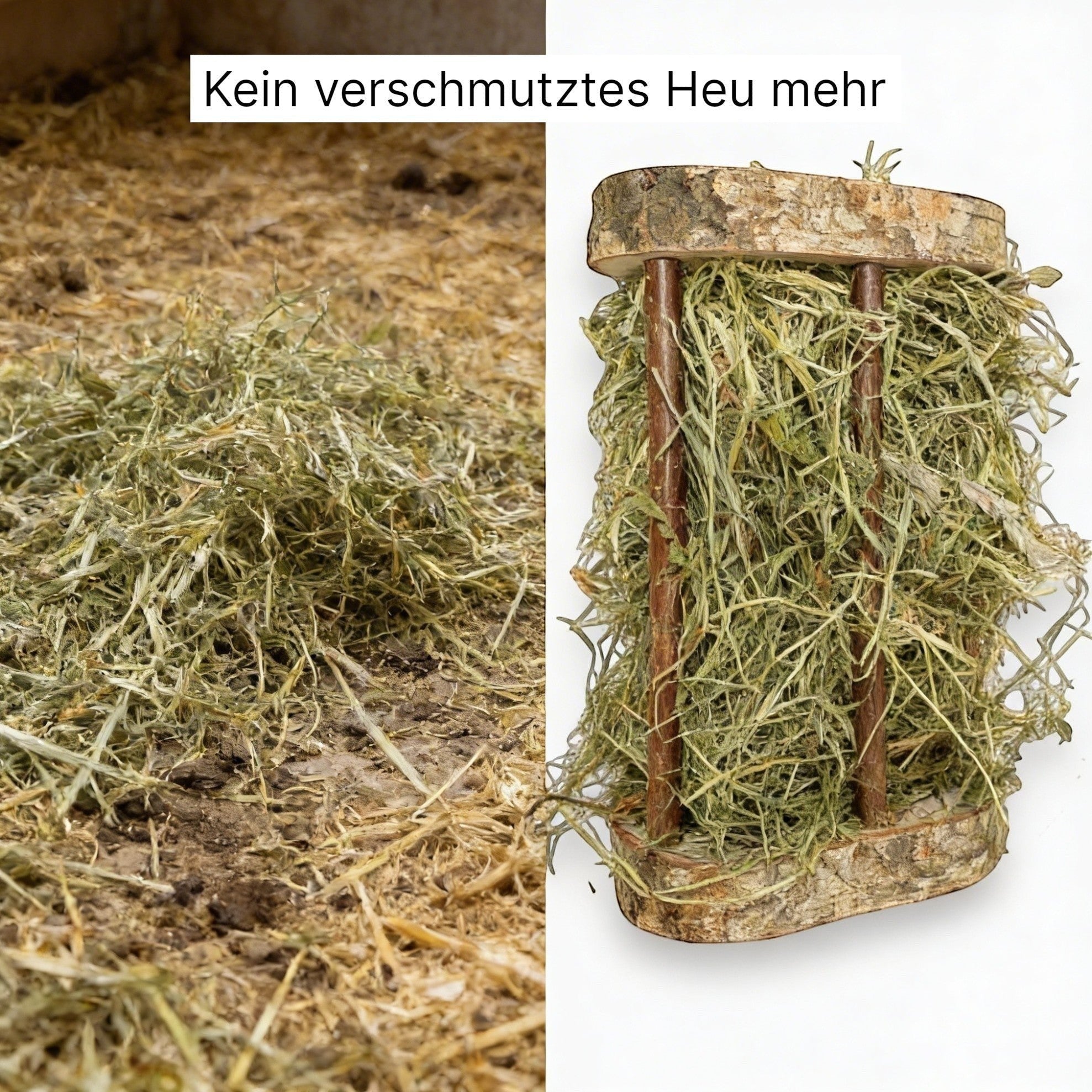 🐹 Easy One hooiruif – genieten van hooi dat geschikt is voor de soort, zonder de stress van de kooi