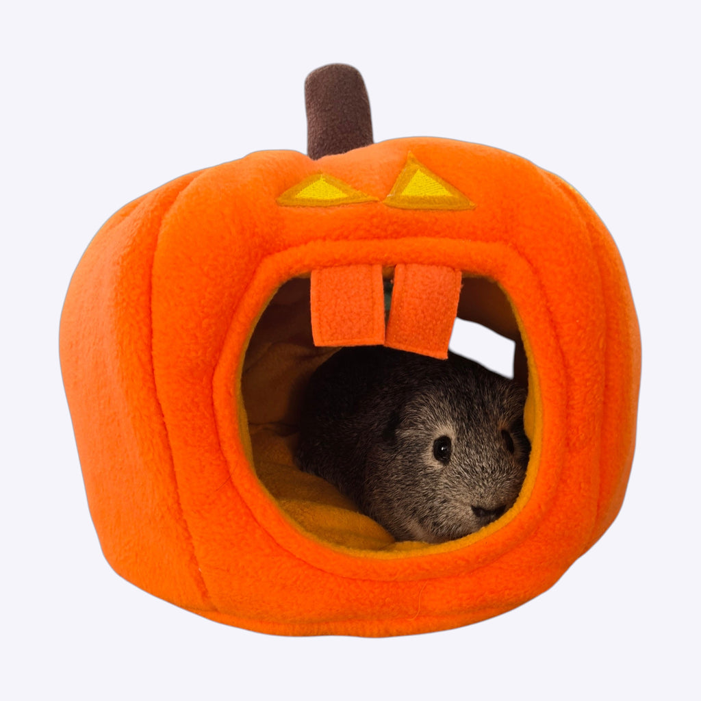 🎃 Gruselkürbis – außergewöhnliche Kuschelhöhle für Meerschweinchen