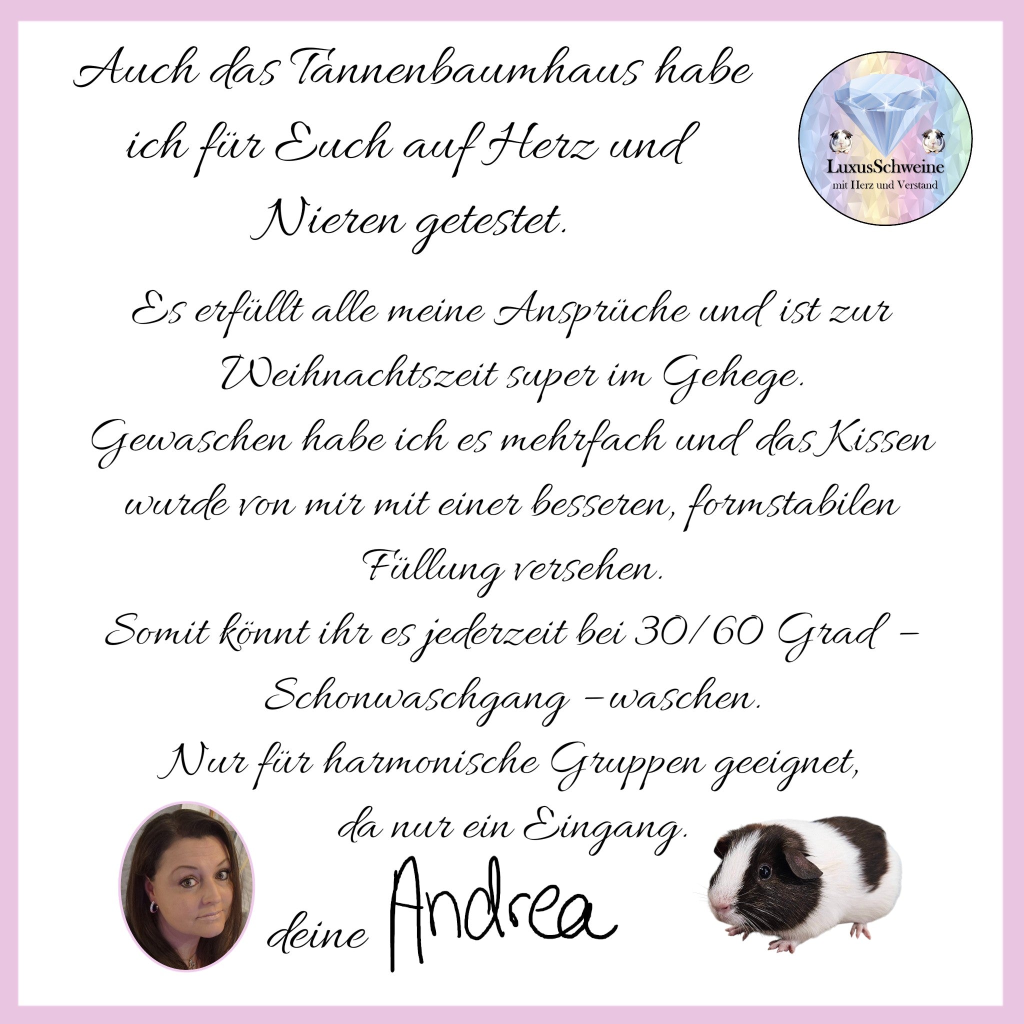 🎄 Oh Tannenbaumhaus – Das kuschelige Weihnachts-Versteck für deine Meerschweinchen