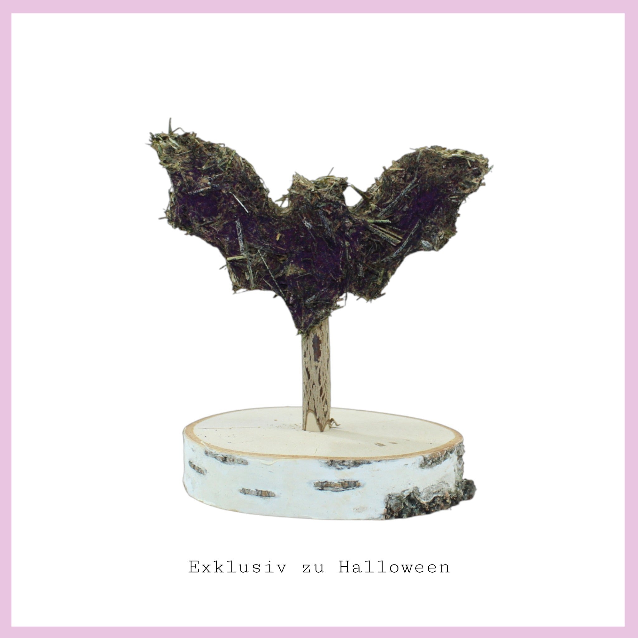 🎃 Terribly beautiful Halloween cookies for guinea pigs