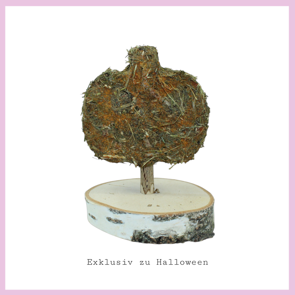 🎃 Terribly beautiful Halloween cookies for guinea pigs