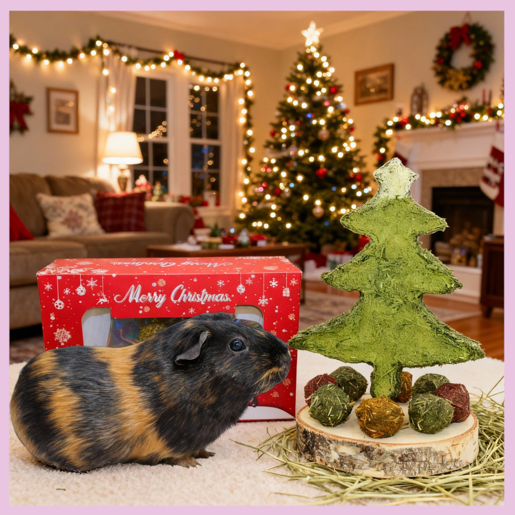 🎄 Weihnachtsbaum aus Heu XL – das festliche Highlight für deine Meerschweinchen
