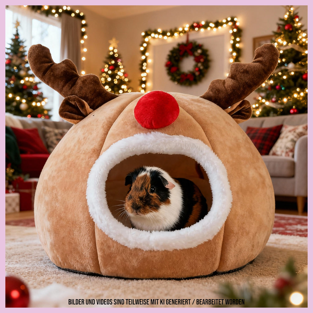 🦌❄️ Rentier-Haus – das kuscheligste Winterhäuschen für deine Meerschweinchen
