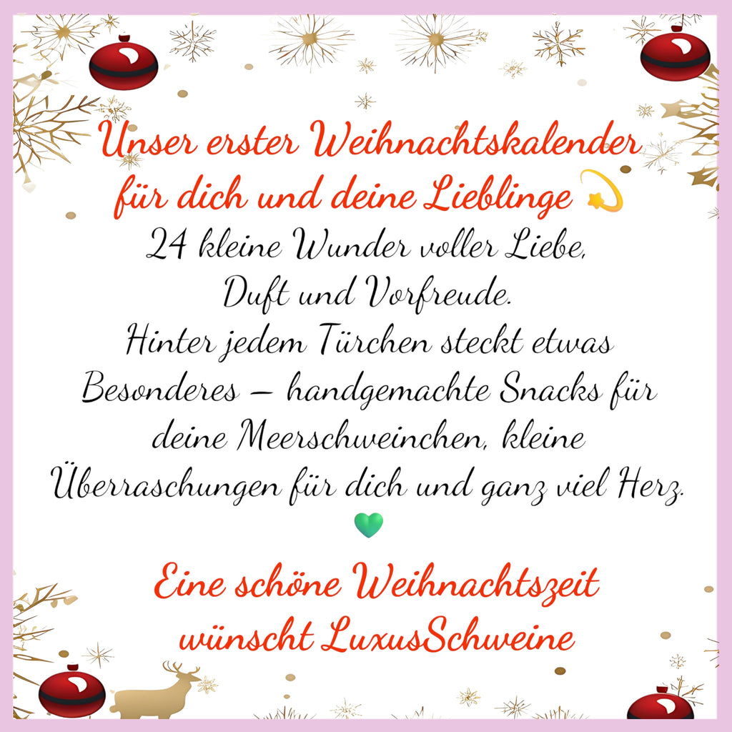 🎁 Weihnachtskalender für Dich & Deine Meerschweinchen – 24 Tage voller Freude 🎅