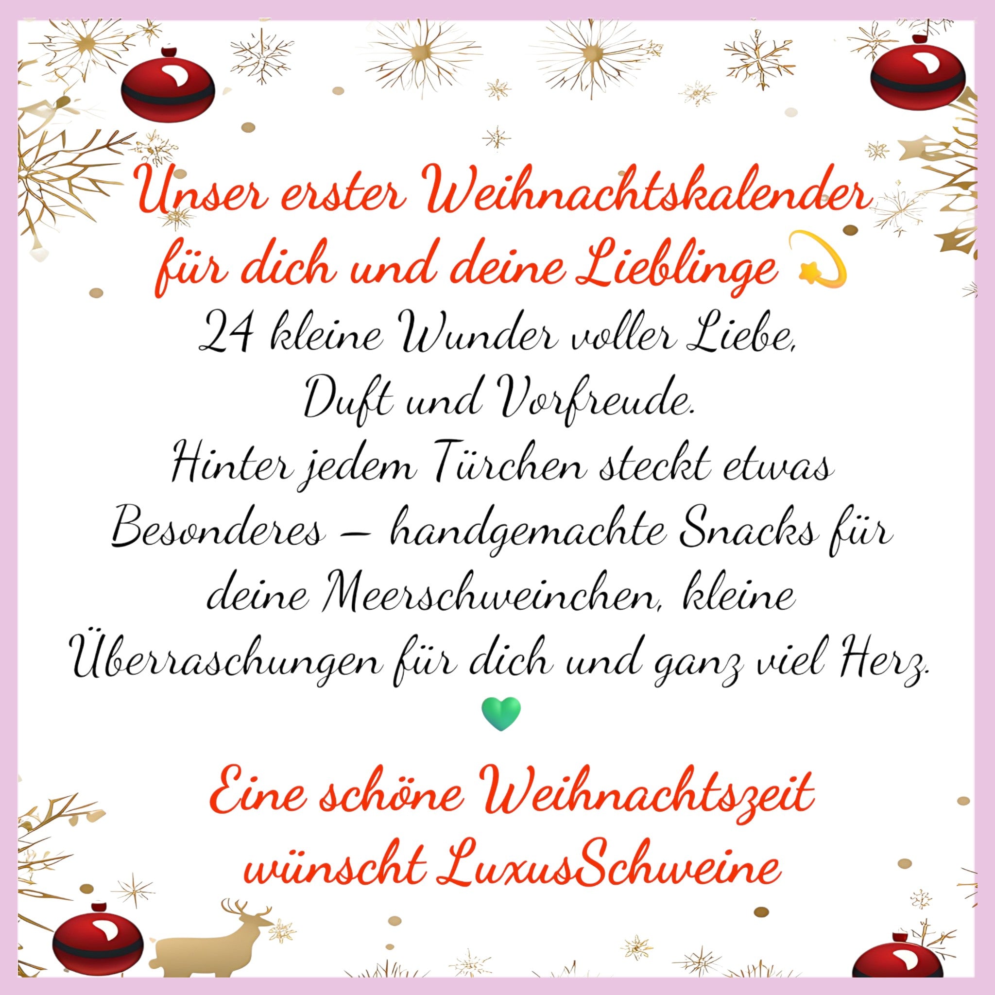 🎁 Weihnachtskalender für Dich & Deine Meerschweinchen – 24 Tage voller Freude 🎅