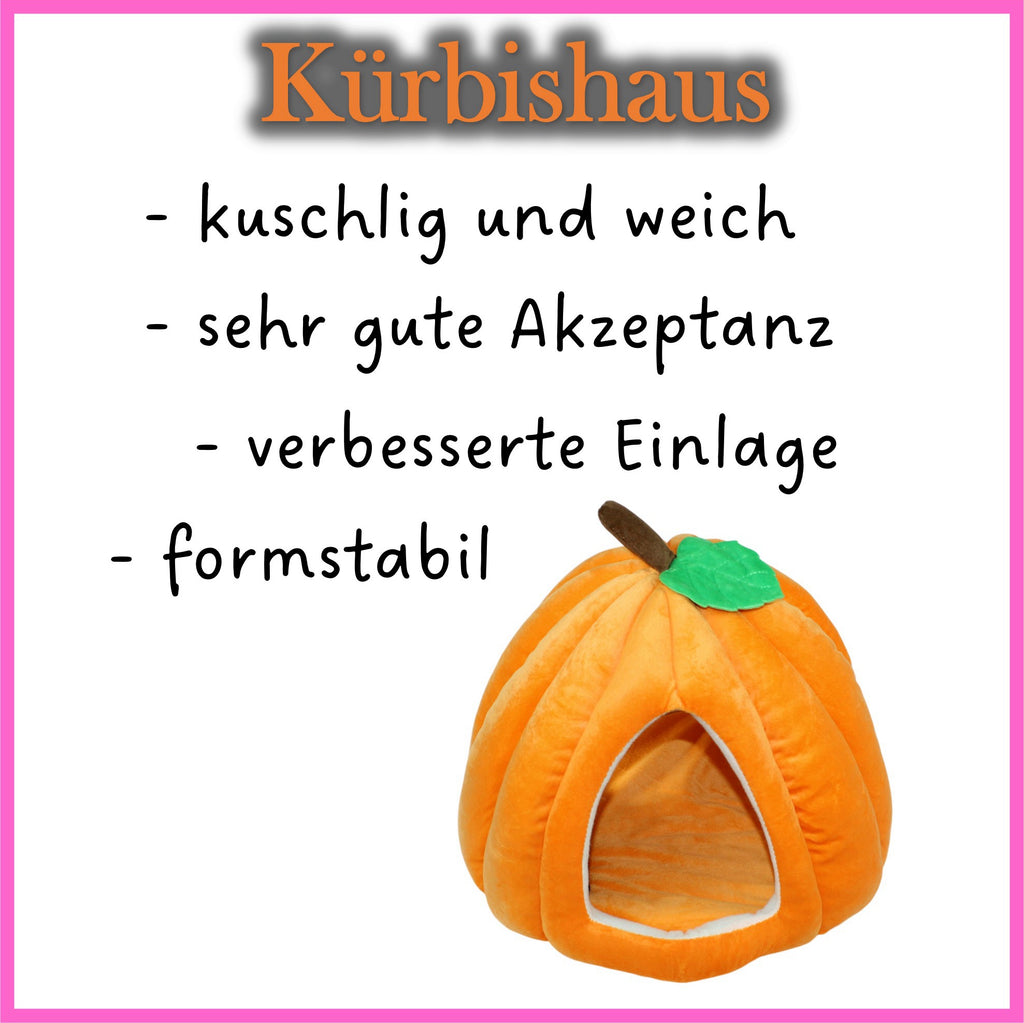 🏠🎃 Pumpkin House – The cuddle paradise for your guinea pigs