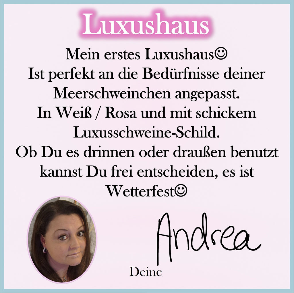 🏡✨ Luxushaus 1.0 – Weil dein Meerschweinchen mehr verdient!