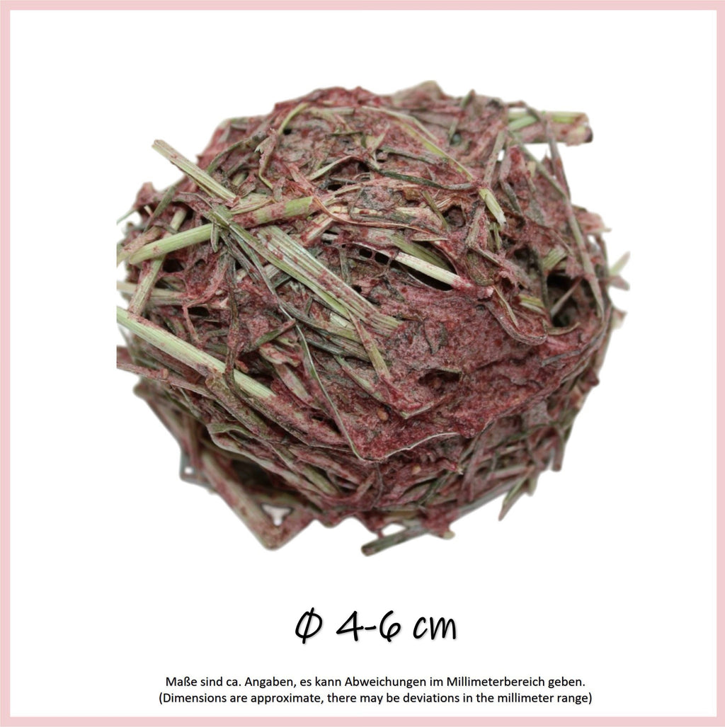 🍓Snack Balls Premium – Erdbeere - kleine Leckerbissen