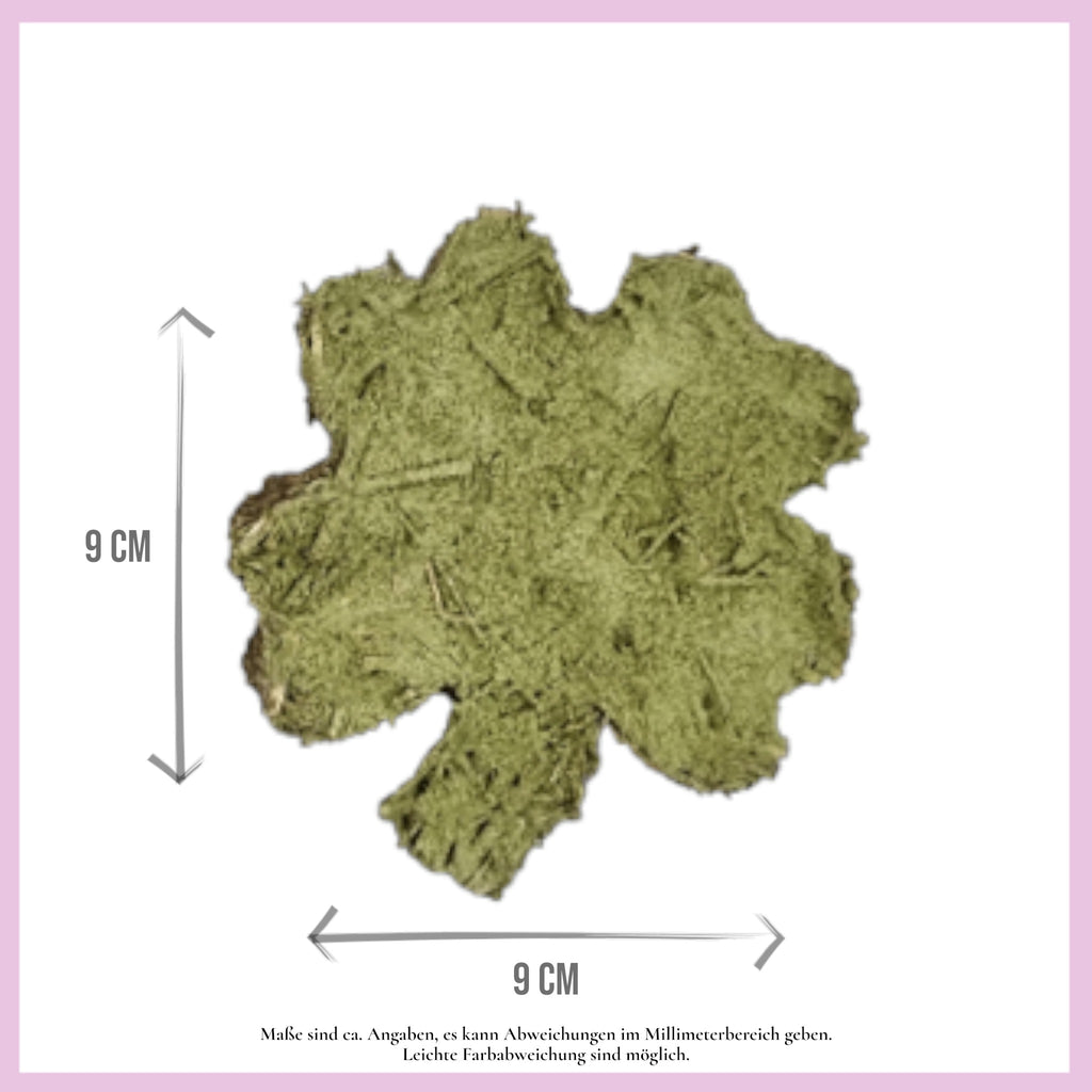 🍀 Glückskleeblätter – Natürlicher Knabber-Glücksbringer für deine Meerschweinchen