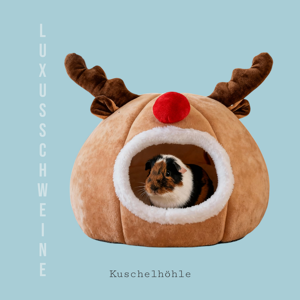 🦌❄️ Rentier-Haus – das kuscheligste Winterhäuschen für deine Meerschweinchen