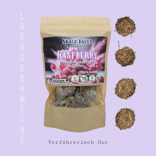 Snack Balls Premium Himbeere – Heu-Snack für Meerschweinchen mit Himbeerblättern und Himbeersamen