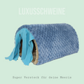 💧🌈 Waschstraße Blau – Bunter Kuschelspaß für deine Meerschweinchen!