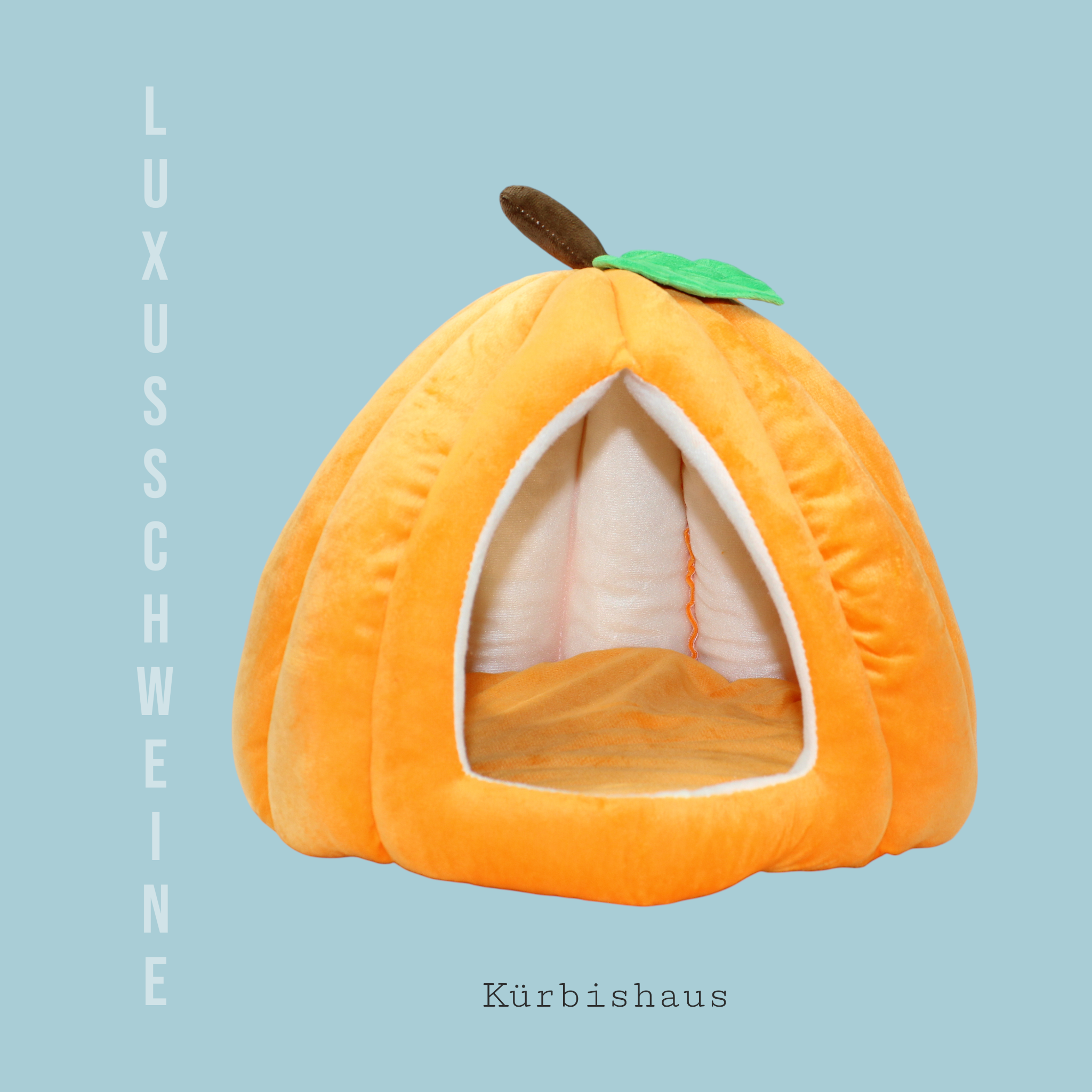 🏠🎃 Pumpkin House – The cuddle paradise for your guinea pigs