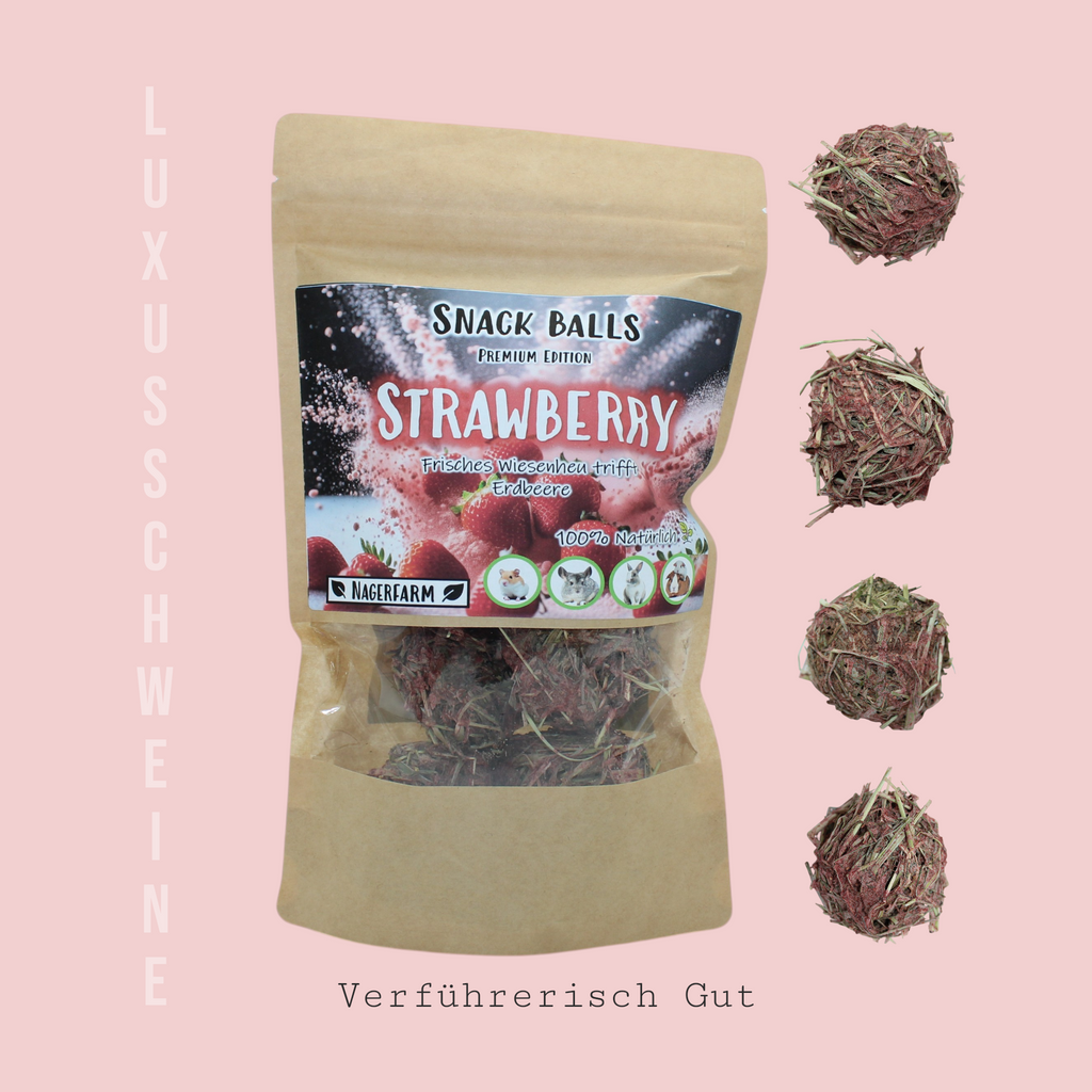 🍓Snack Balls Premium – Erdbeere - kleine Leckerbissen
