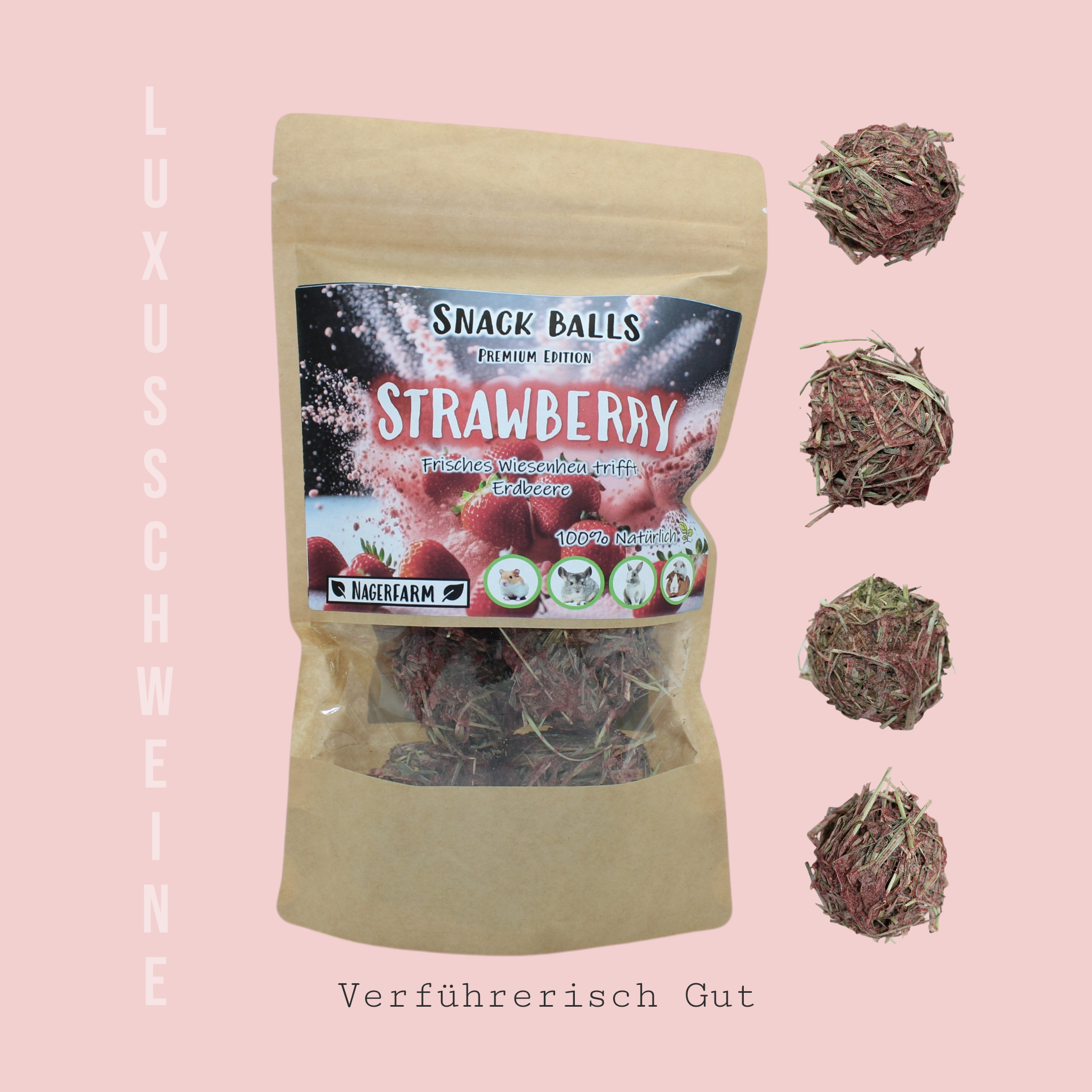 🍓Snack Balls Premium – Erdbeere - kleine Leckerbissen
