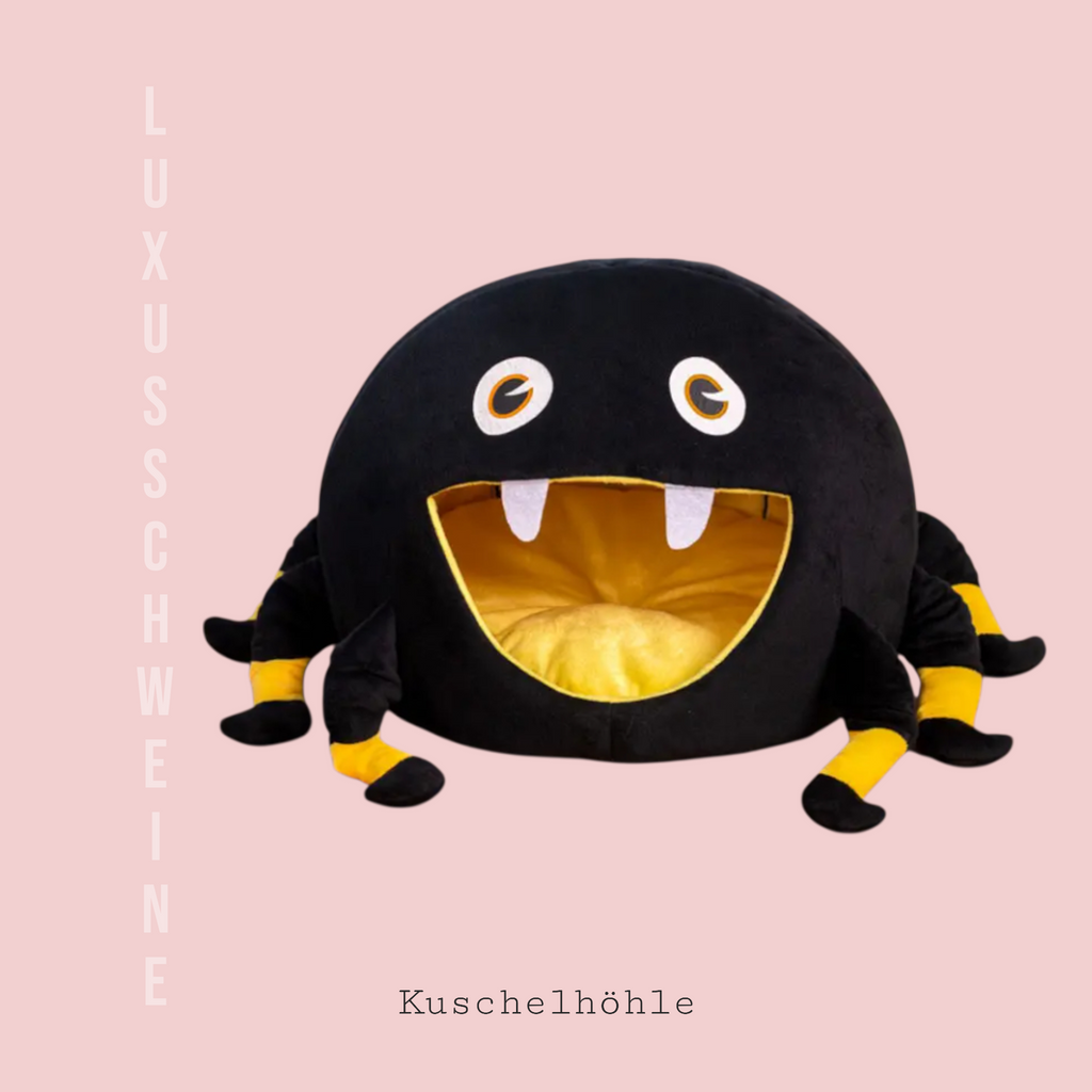 🕸️ Spinnenhaus – Das Kuschelparadies für deine Meerschweinchen