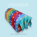 🌈🧼 Waschstraße Regenbogen – Farbe, Freude & Kuschelfaktor für deine Meerschweinchen!