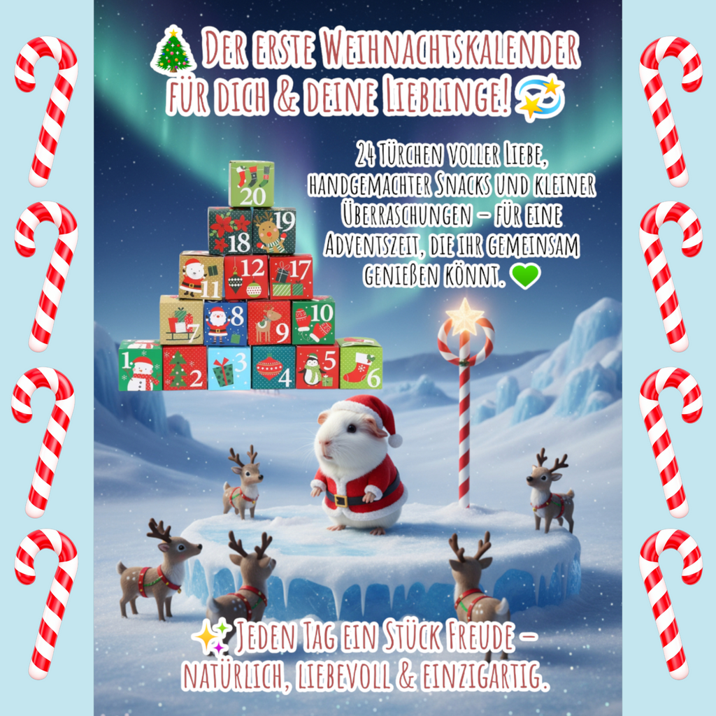 🎁 Weihnachtskalender für Dich & Deine Meerschweinchen – 24 Tage voller Freude 🎅