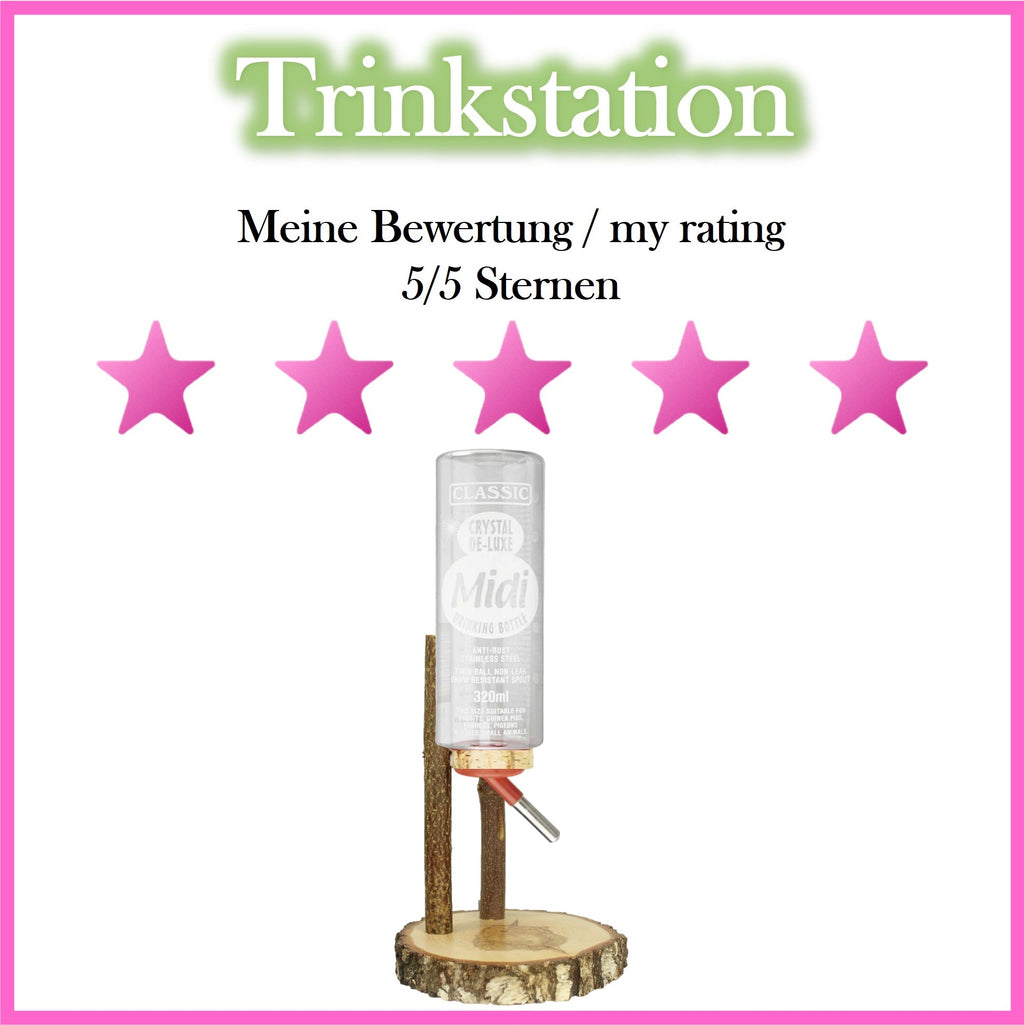 💦 Trinkstation für Meerschweinchen + Glasflasche