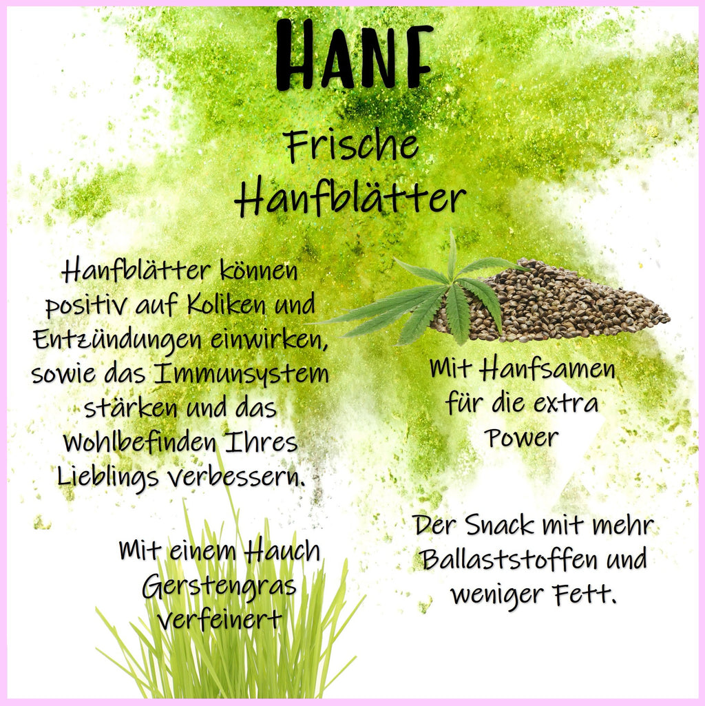 🌿Snack Balls Premium – Hanf - kleine Leckerbissen