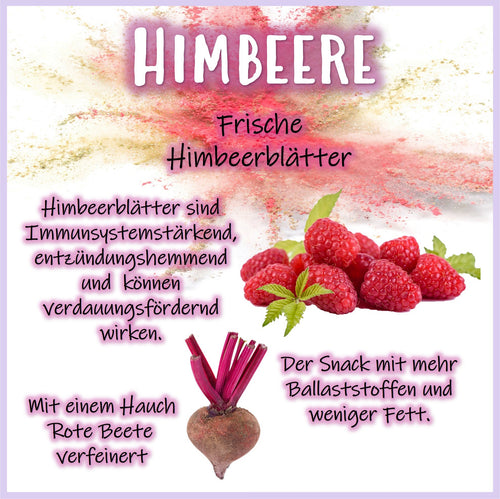 Snack Balls Premium Himbeere – Heu-Snack für Meerschweinchen mit Himbeerblättern und Himbeersamen