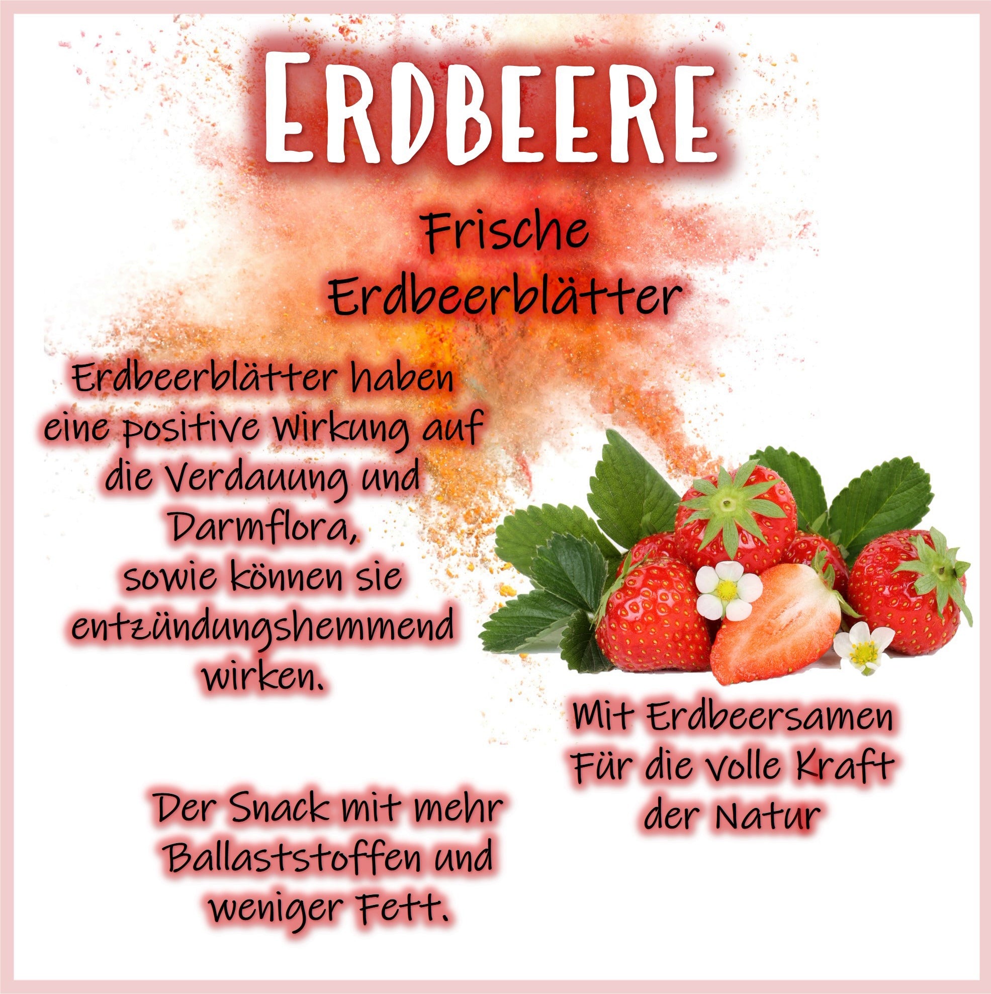 🍓Snack Balls Premium – Erdbeere - kleine Leckerbissen