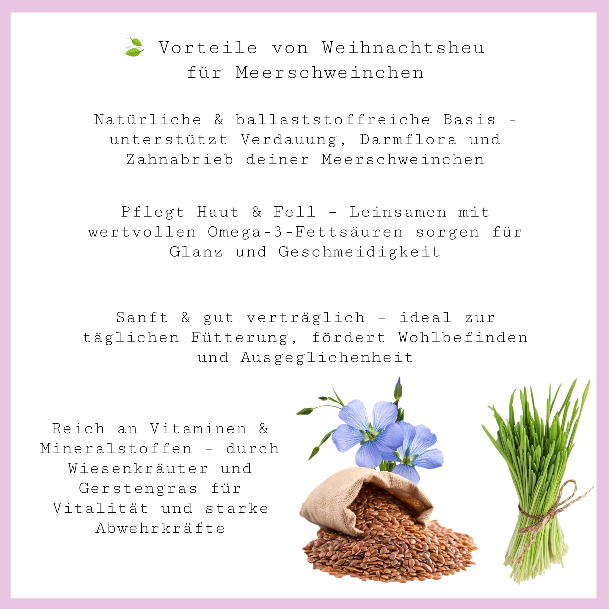 🎄 Weihnachtsheu - Original – Festlicher Heu‑Snack für deine Meerschweinchen